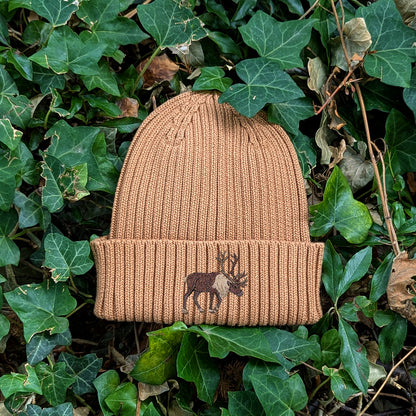 Reindeer Embroidered Kids Beanie (3 - 7 years)