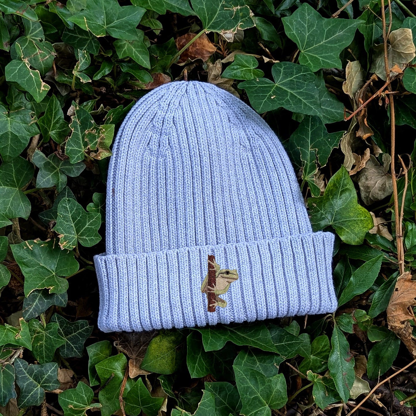 European Tree Frog Embroidered Kids Beanie (3 - 7 years)