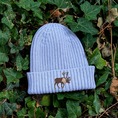 Reindeer Embroidered Kids Beanie (3 - 7 years)