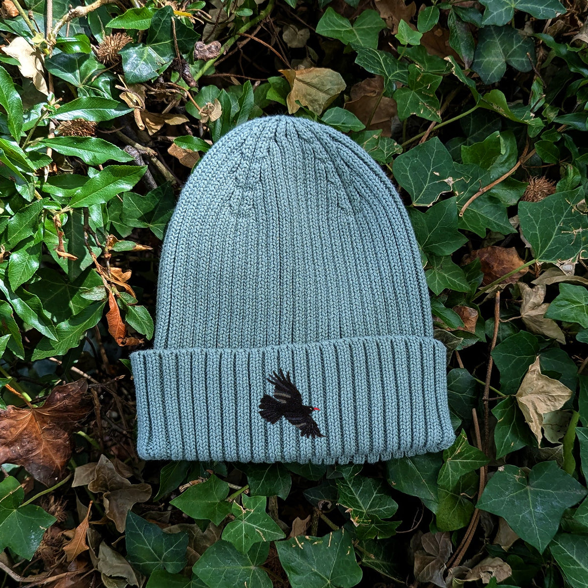 Chough Embroidered Kids Beanie (3 - 7 years)