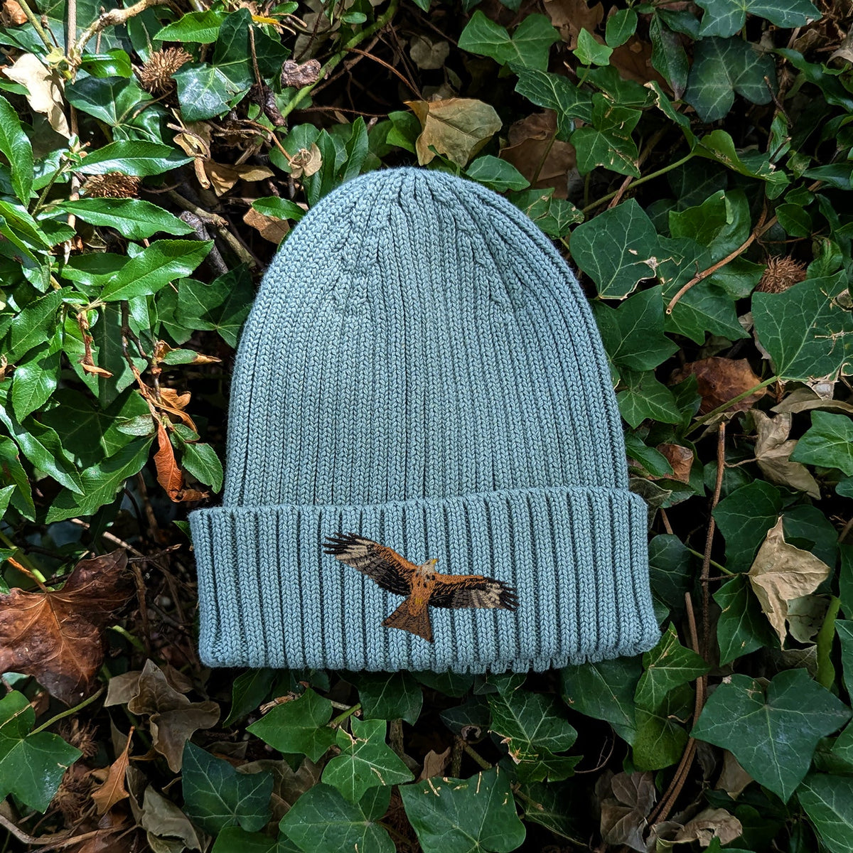 Red Kite Embroidered Kids Beanie (3 - 7 years)