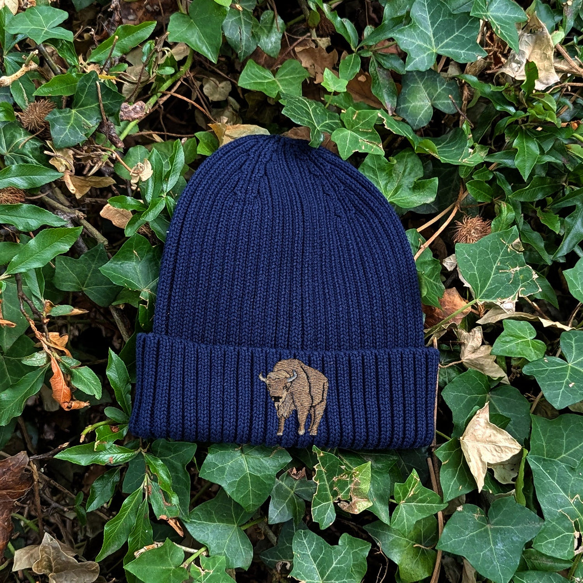 Bison Embroidered Kids Beanie (3 - 7 years)