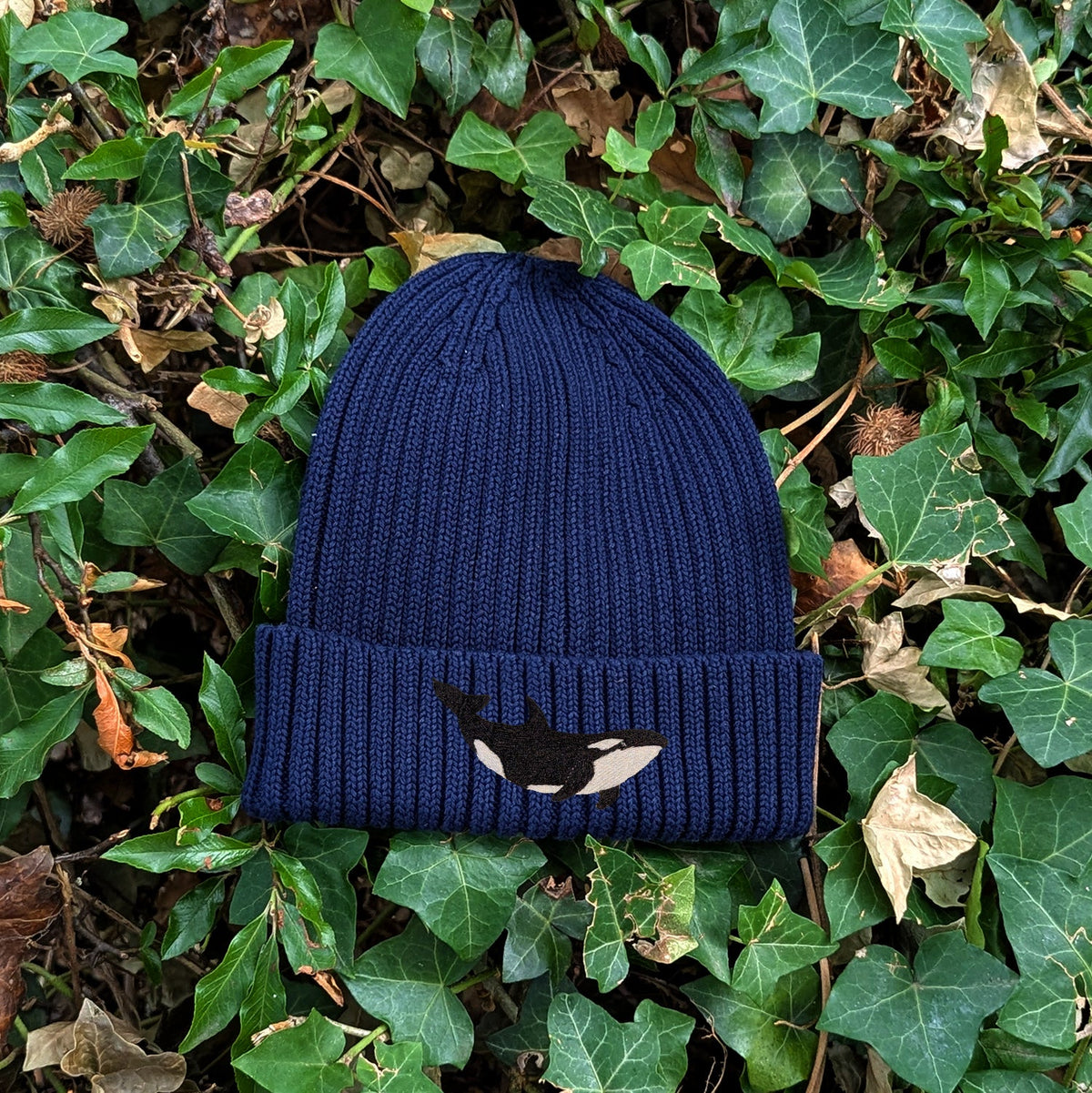Orca Embroidered Kids Beanie (3 - 7 years)