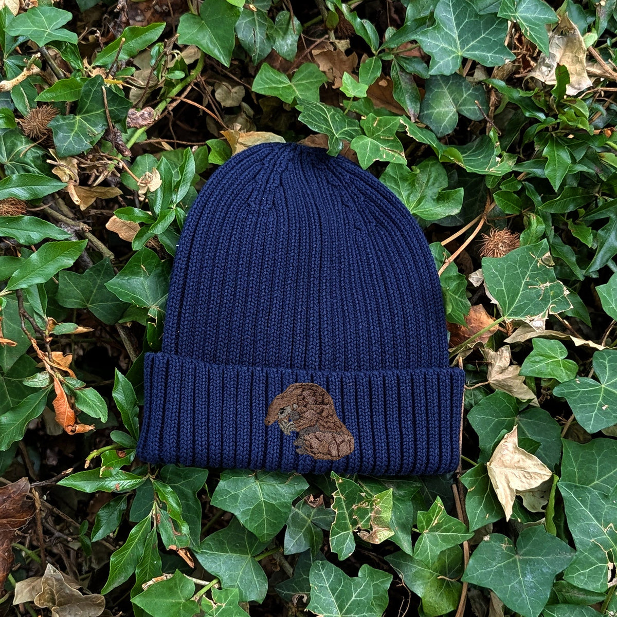 Pangolin Embroidered Kids Beanie (3 - 7 years)