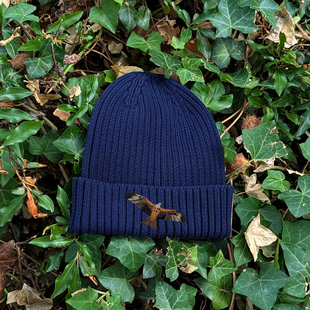 Red Kite Embroidered Kids Beanie (3 - 7 years)