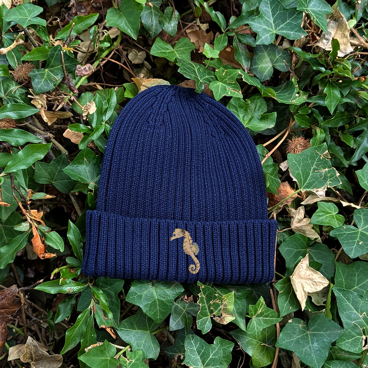 Seahorse Embroidered Kids Beanie (3 - 7 years)