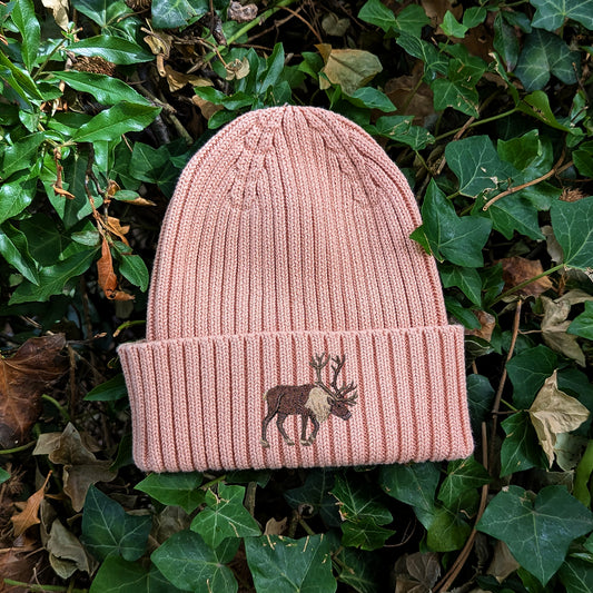 Reindeer Embroidered Kids Beanie (3 - 7 years)