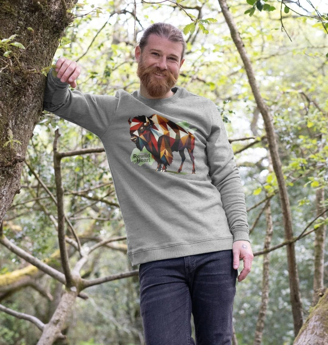 European Bison | Men's Sweater