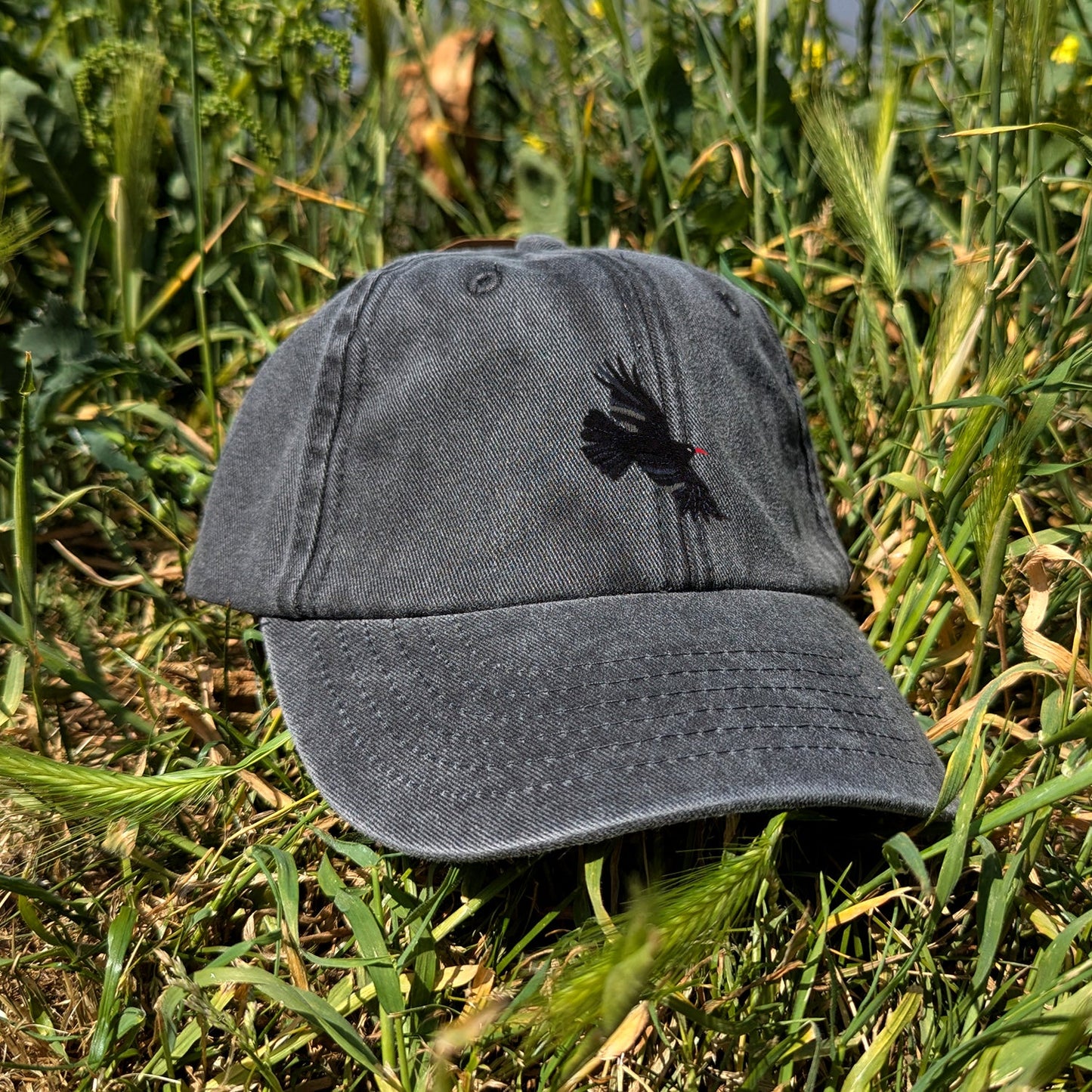 Chough Embroidered Kids Baseball Cap (Ages 5 and Up)