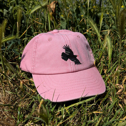 Chough Embroidered Kids Baseball Cap (Ages 5 and Up)
