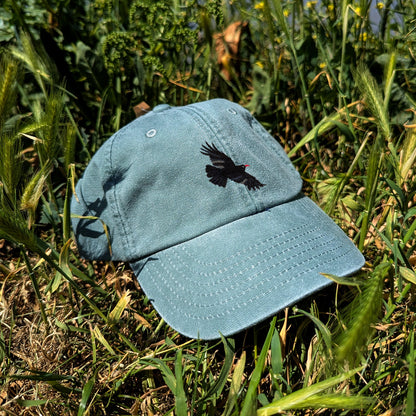 Chough Embroidered Kids Baseball Cap (Ages 5 and Up)