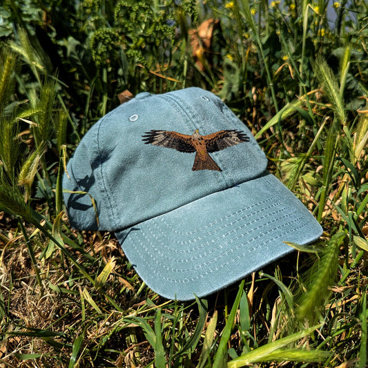 Red Kite Embroidered Kids Baseball Cap