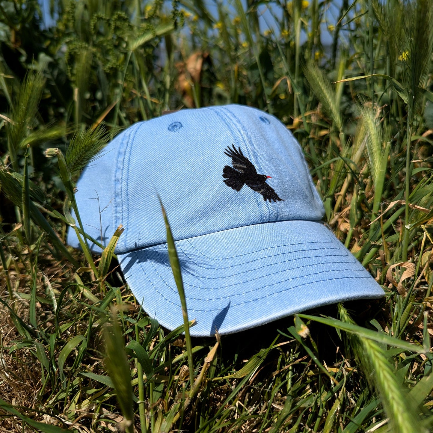 Chough Embroidered Kids Baseball Cap (Ages 5 and Up)