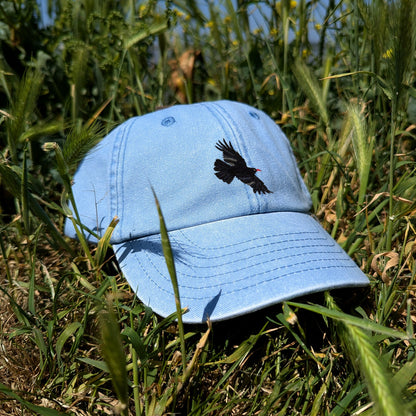 Chough Embroidered Kids Baseball Cap (Ages 5 and Up)