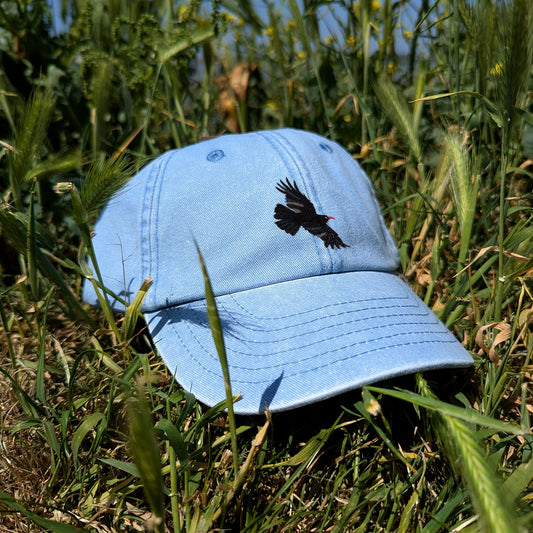 Chough Embroidered Kids Baseball Cap (Ages 5 and Up)