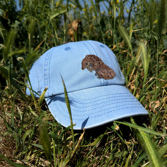 Pangolin Embroidered Kids Baseball Cap (Ages 5 and Up)