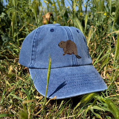 Beaver Riverside Embroidered Kids Baseball Cap (Ages 5 and Up)
