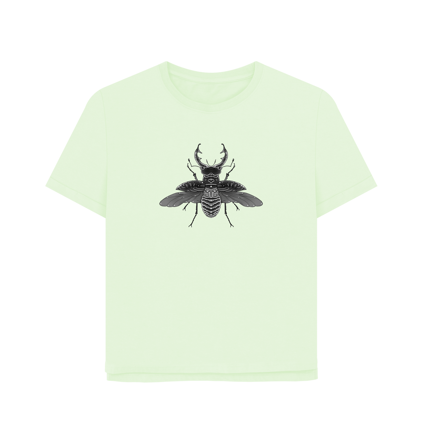 Pastel Green Printed T-shirt Front