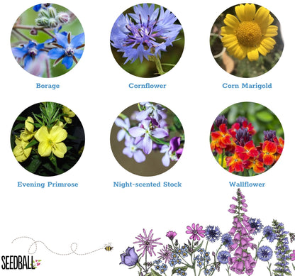 Seedball Tin: Bat Mix, Grow Night Garden Wildflowers