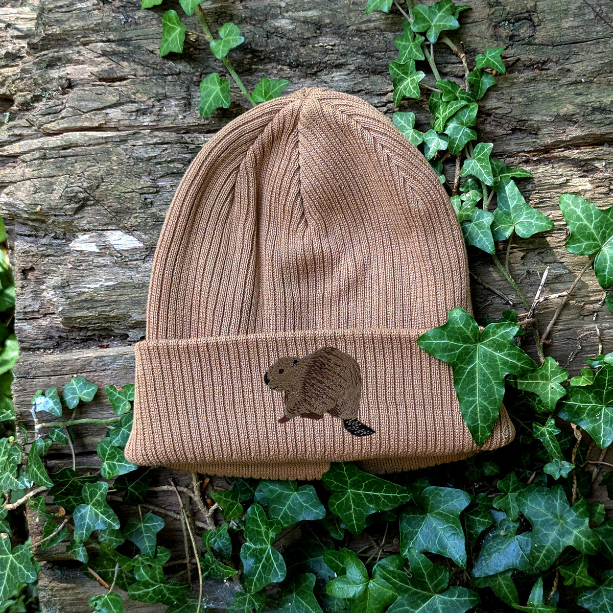 Beaver Riverside Embroidered Beanie