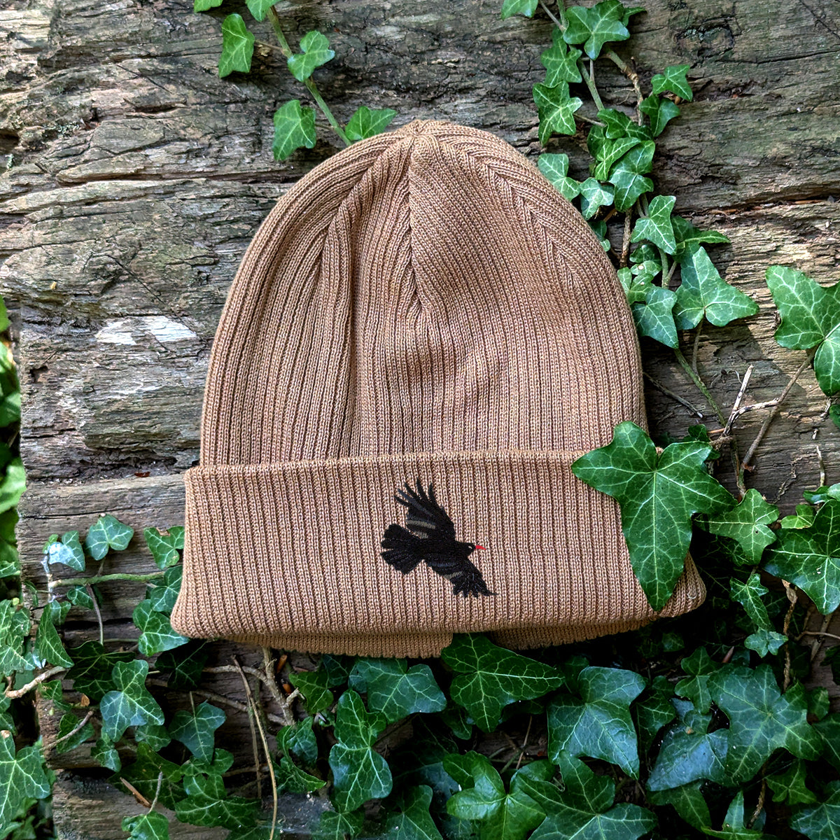 Chough Embroidered Beanie