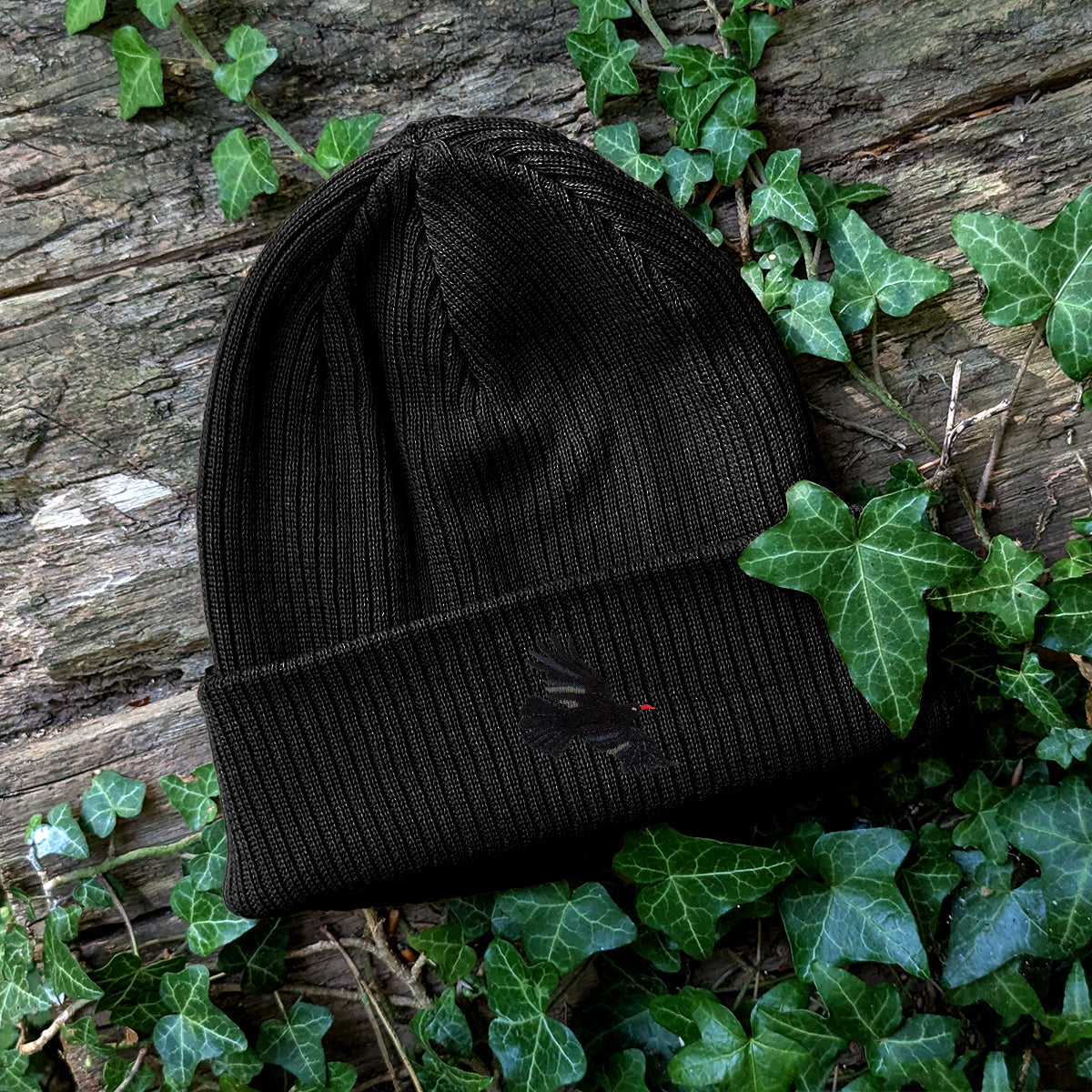 Chough Embroidered Beanie