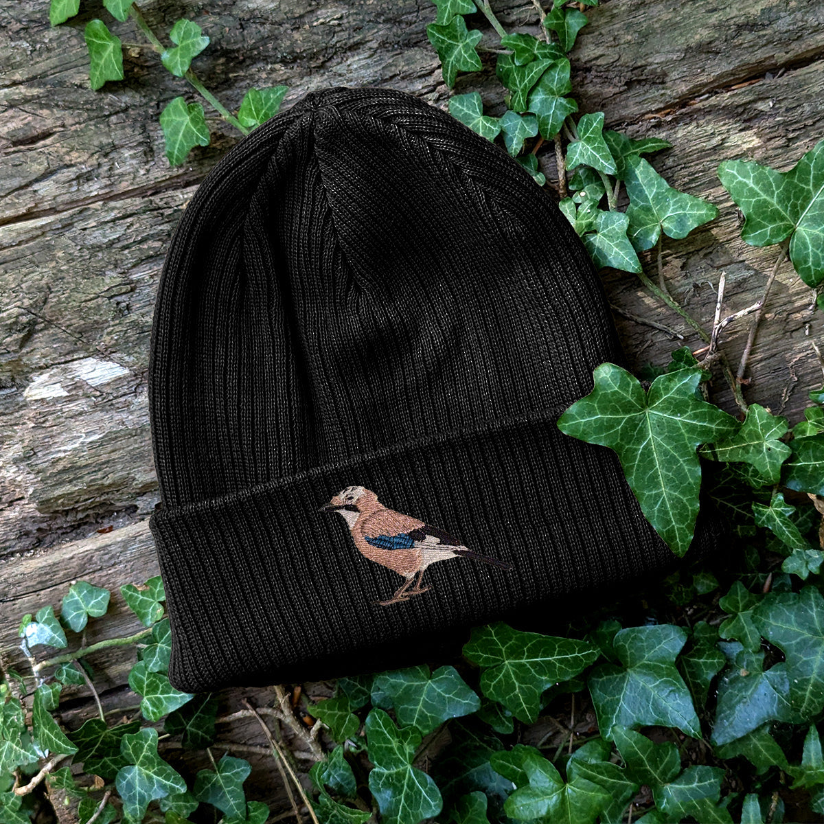 Eurasian Jay Embroidered Beanie