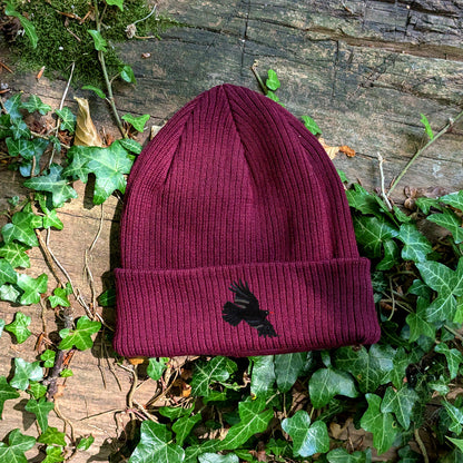 Chough Embroidered Beanie