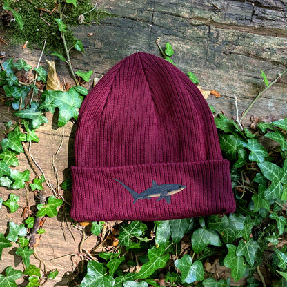 Thresher Shark Embroidered Beanie