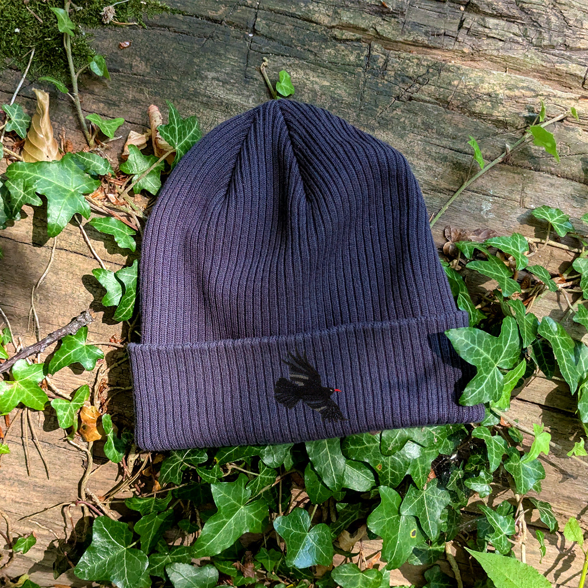 Chough Embroidered Beanie