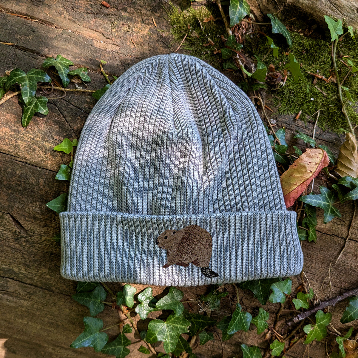 Beaver Riverside Embroidered Beanie