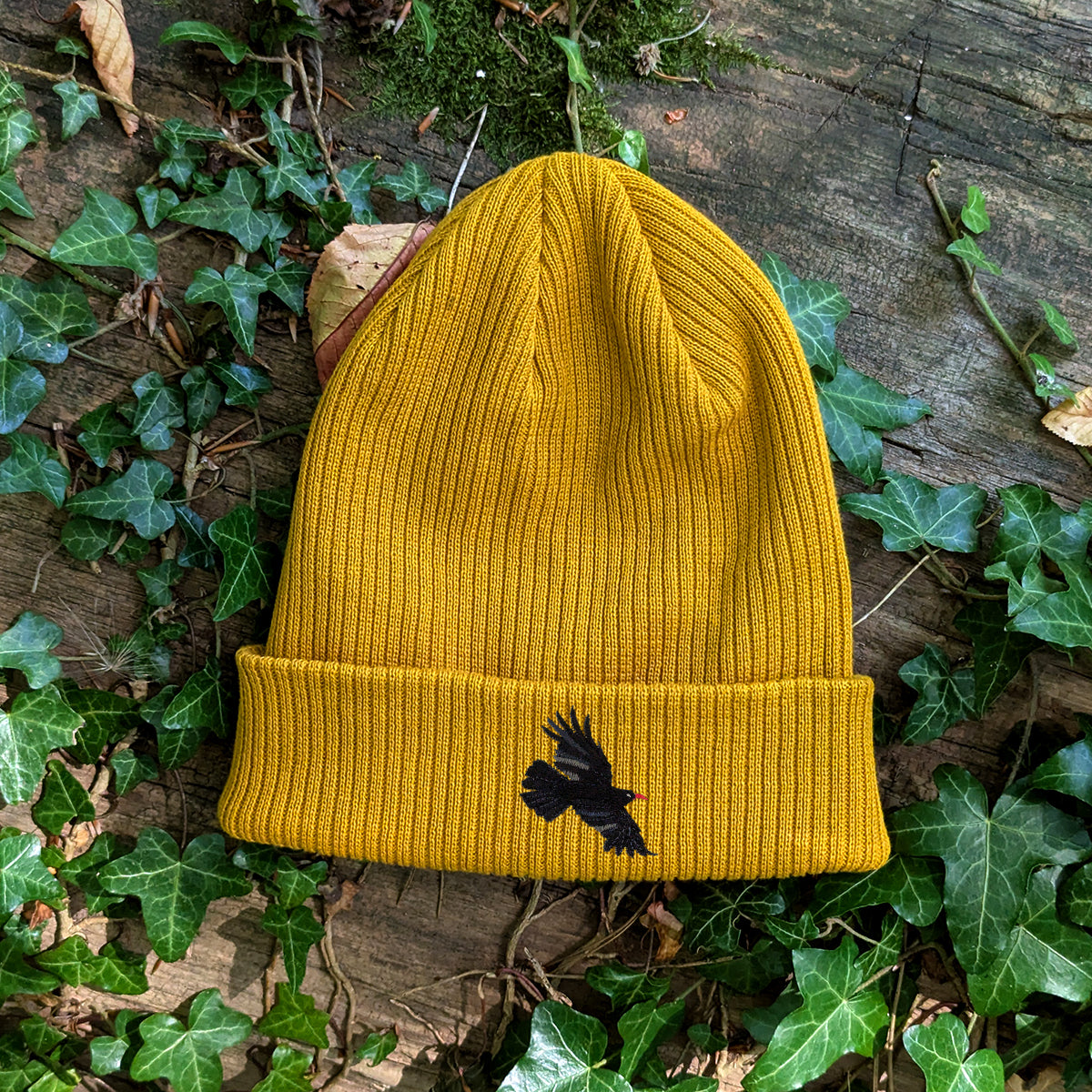 Chough Embroidered Beanie