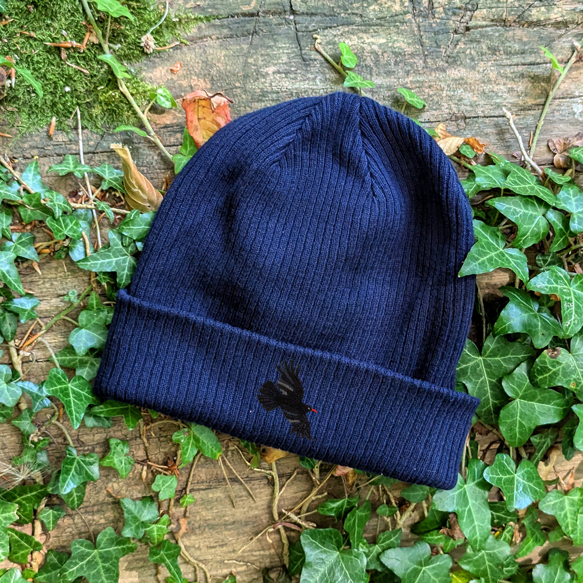 Chough Embroidered Beanie