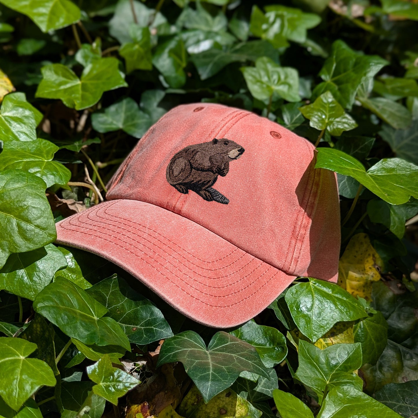 Beaver Embroidered Baseball Cap