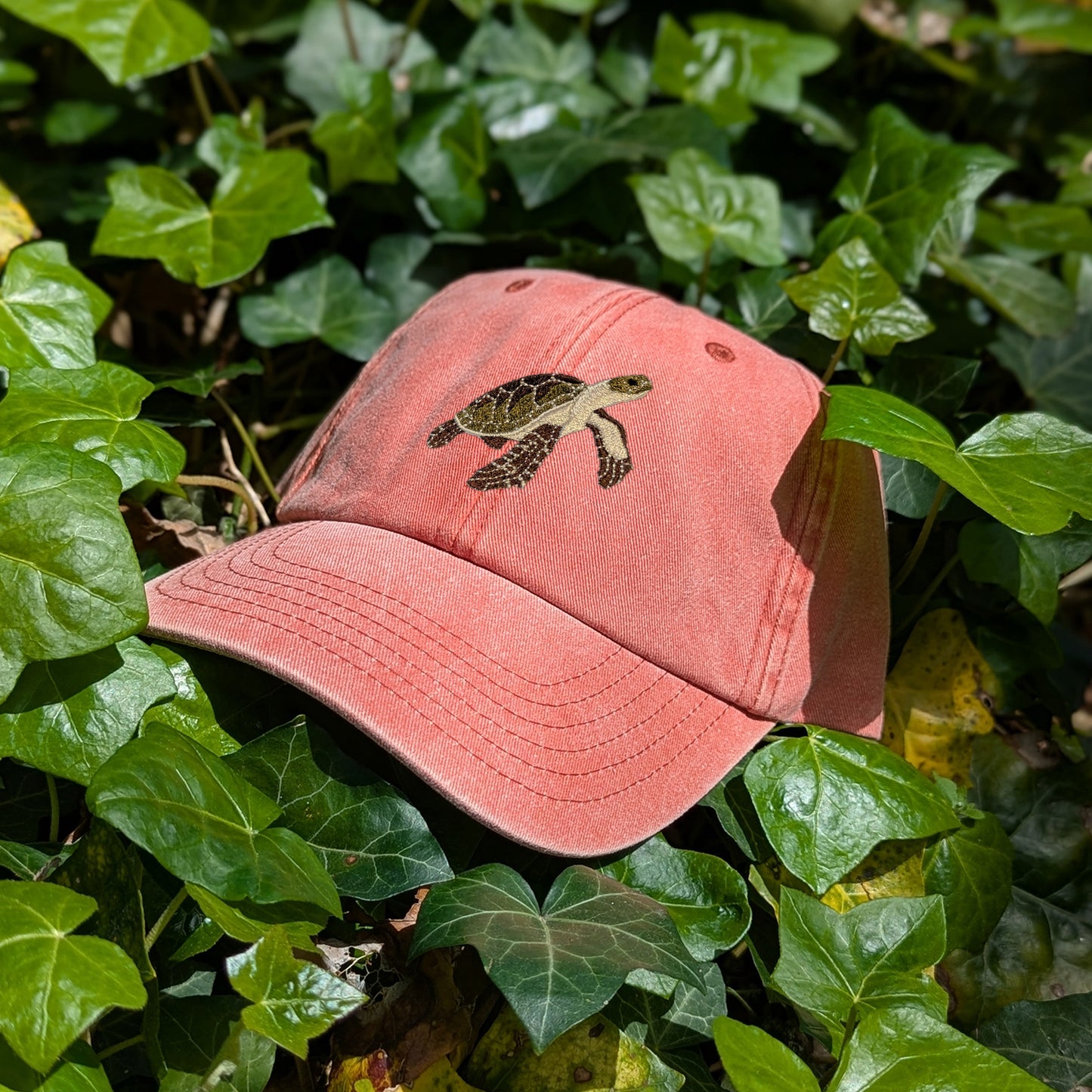 Sea Turtle Embroidered Baseball Cap