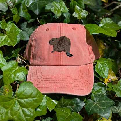 Beaver Riverside Embroidered Baseball Cap