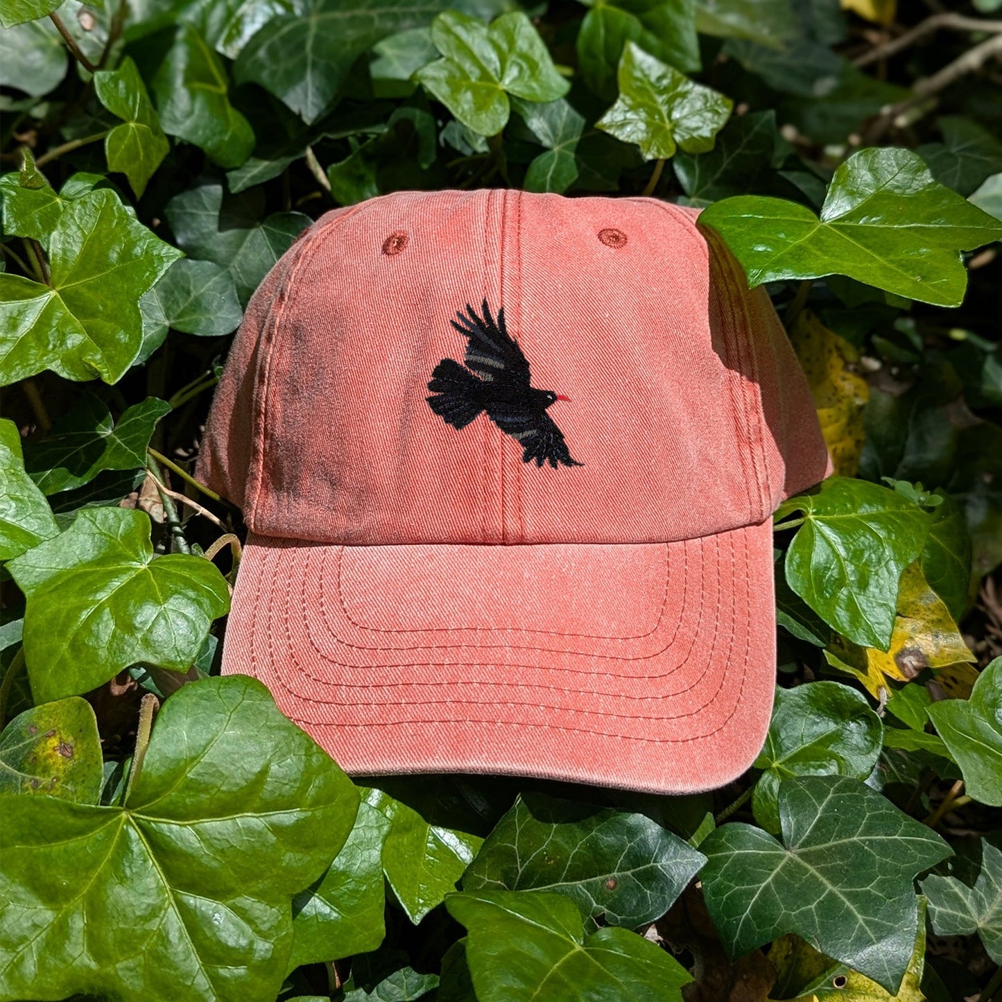 Chough Embroidered Baseball Cap