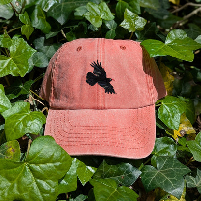 Chough Embroidered Baseball Cap