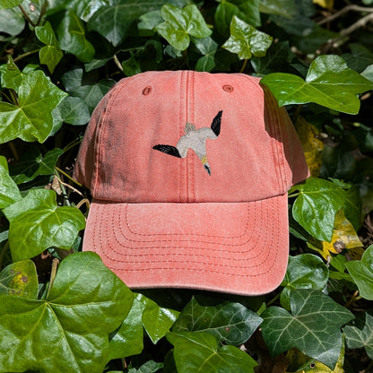 Gannet Embroidered Baseball Cap