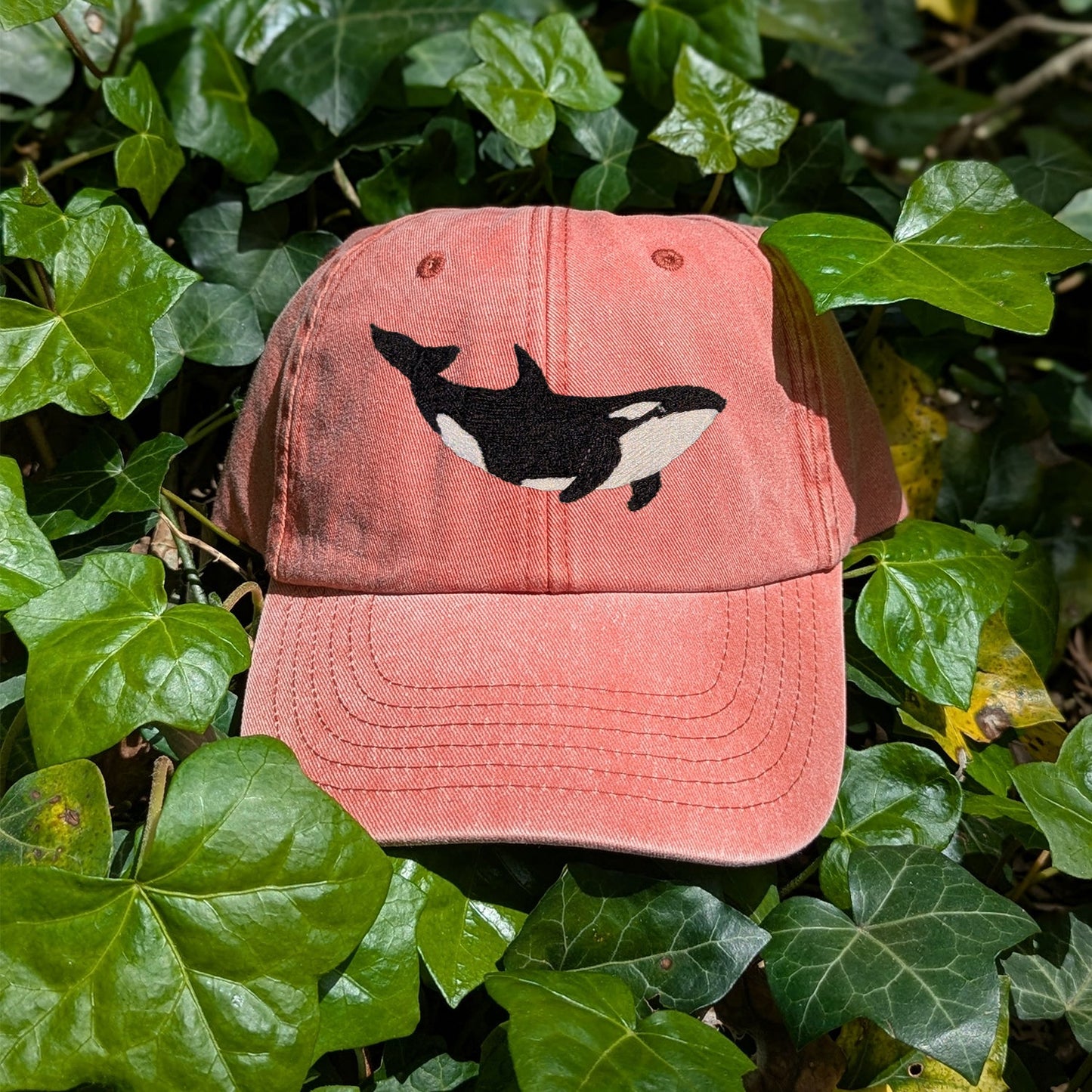 Orca Embroidered Baseball Cap