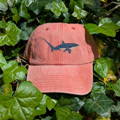 Thresher Shark Embroidered Baseball Cap