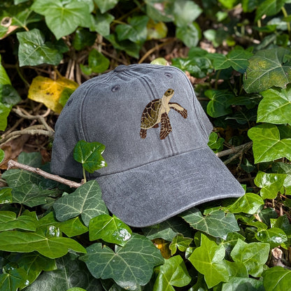 Sea Turtle Embroidered Baseball Cap
