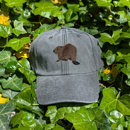 Beaver Riverside Embroidered Baseball Cap