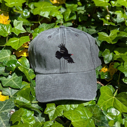 Chough Embroidered Baseball Cap