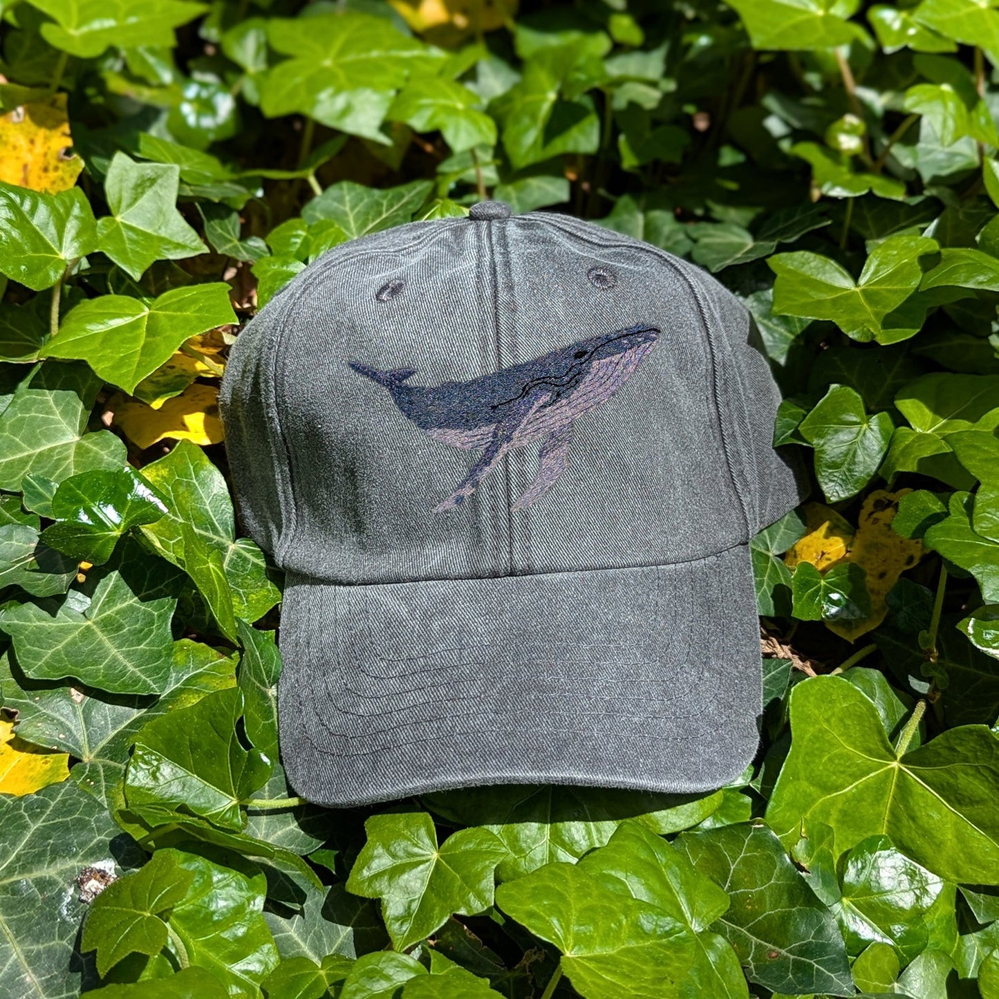 Humpback Whale Embroidered Baseball Cap