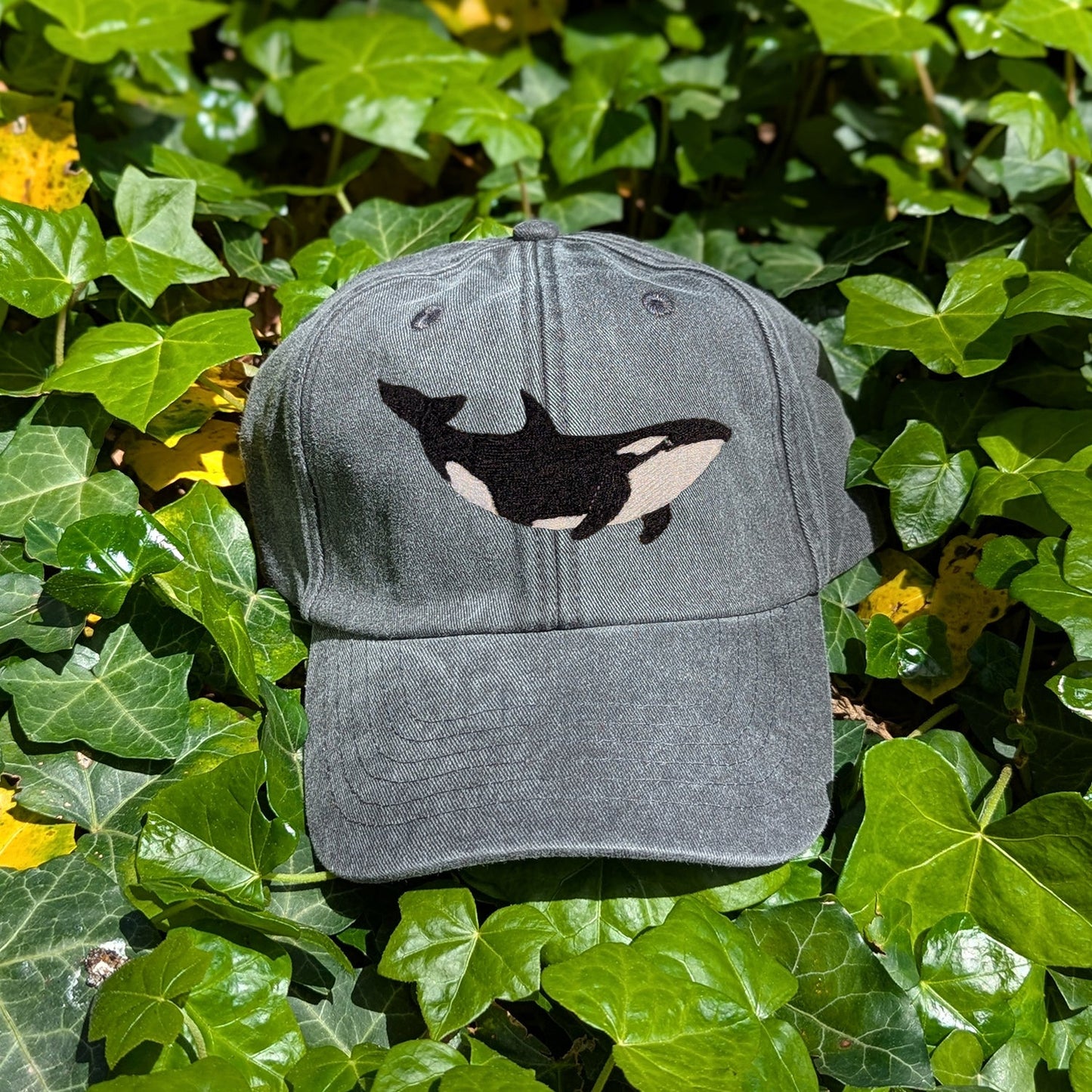 Orca Embroidered Baseball Cap
