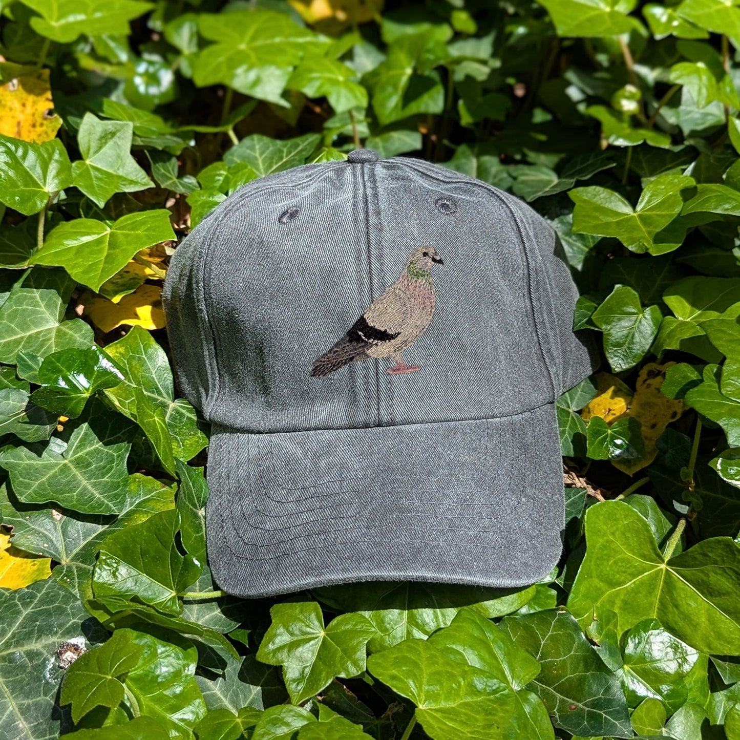 Pigeon Embroidered Baseball Cap