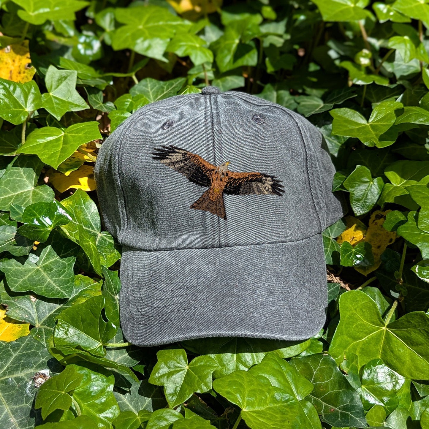 Red Kite Embroidered Baseball Cap