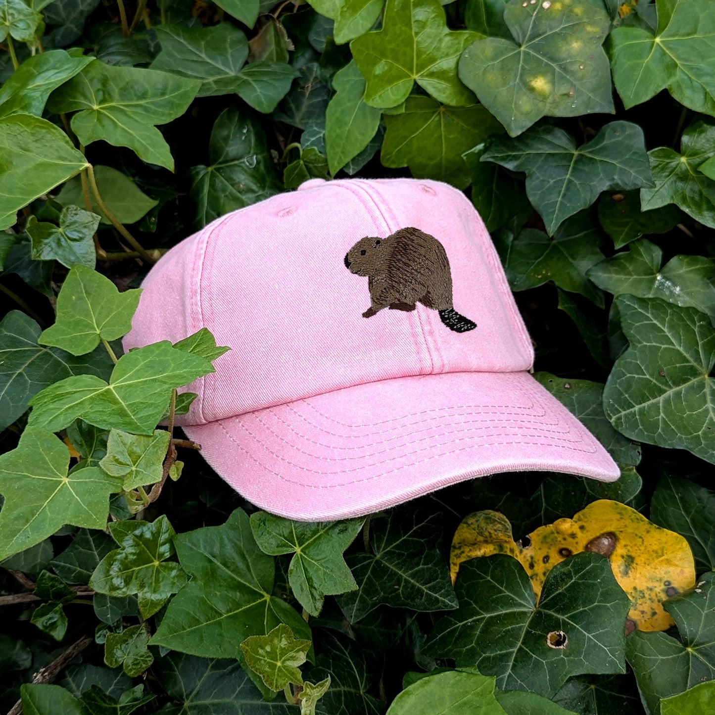 Beaver Riverside Embroidered Baseball Cap