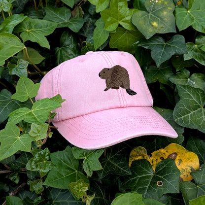 Beaver Riverside Embroidered Baseball Cap